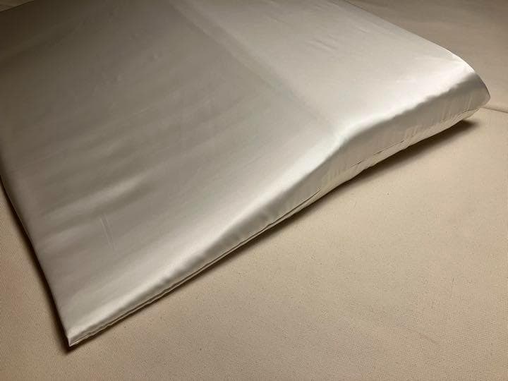 トゥルースリーパー　枕カバー　シルク　100％　19匁　ダブル サイズ　日本製
