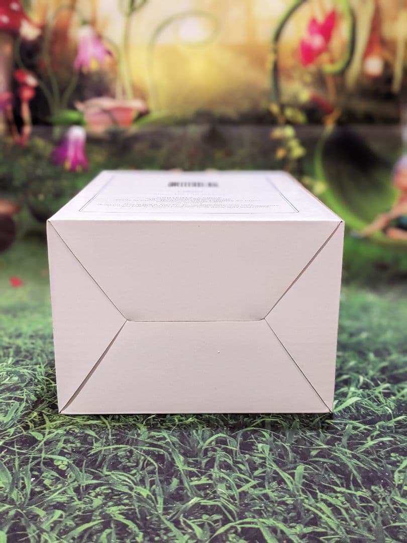 ディズニー　ショーケース　プレシャスモーメンツ　バースデーパレード　シンデレラ