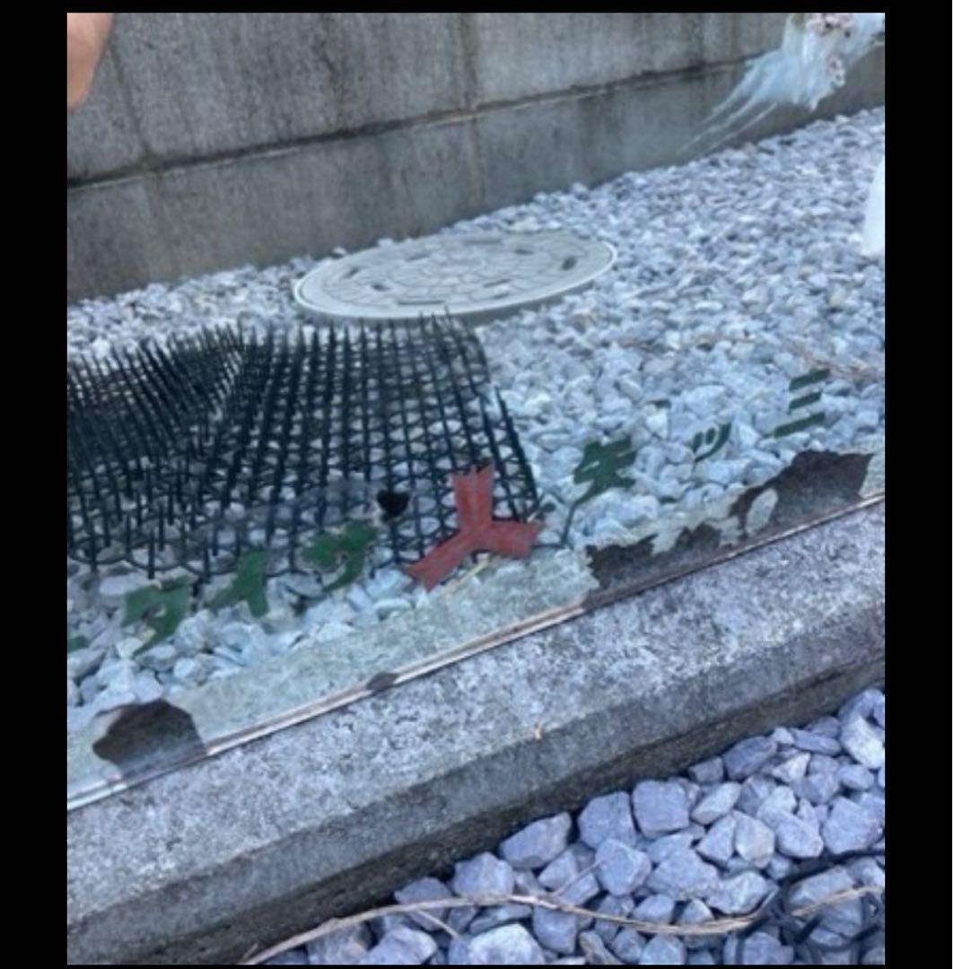 ユニオンビール、三ツ矢サイダーレトロな鏡