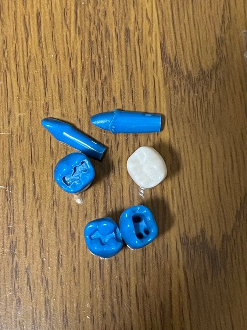 歯科用 シンプルマネキンセット歯科衛生士 顎模型 一式 NISSIN ニッシン