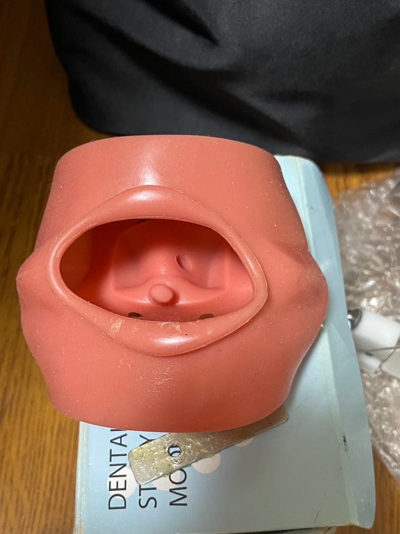 歯科用 シンプルマネキンセット歯科衛生士 顎模型 一式 NISSIN ニッシン