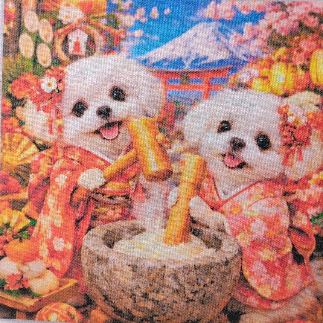 ☆受付☆マルチーズ No.A