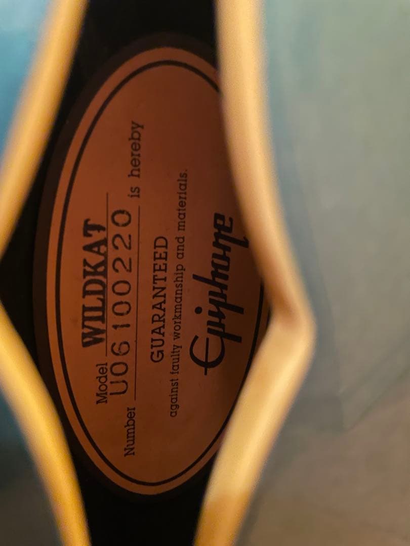 手渡し限定 Epiphone Wild Cat 2006年 本体のみ
