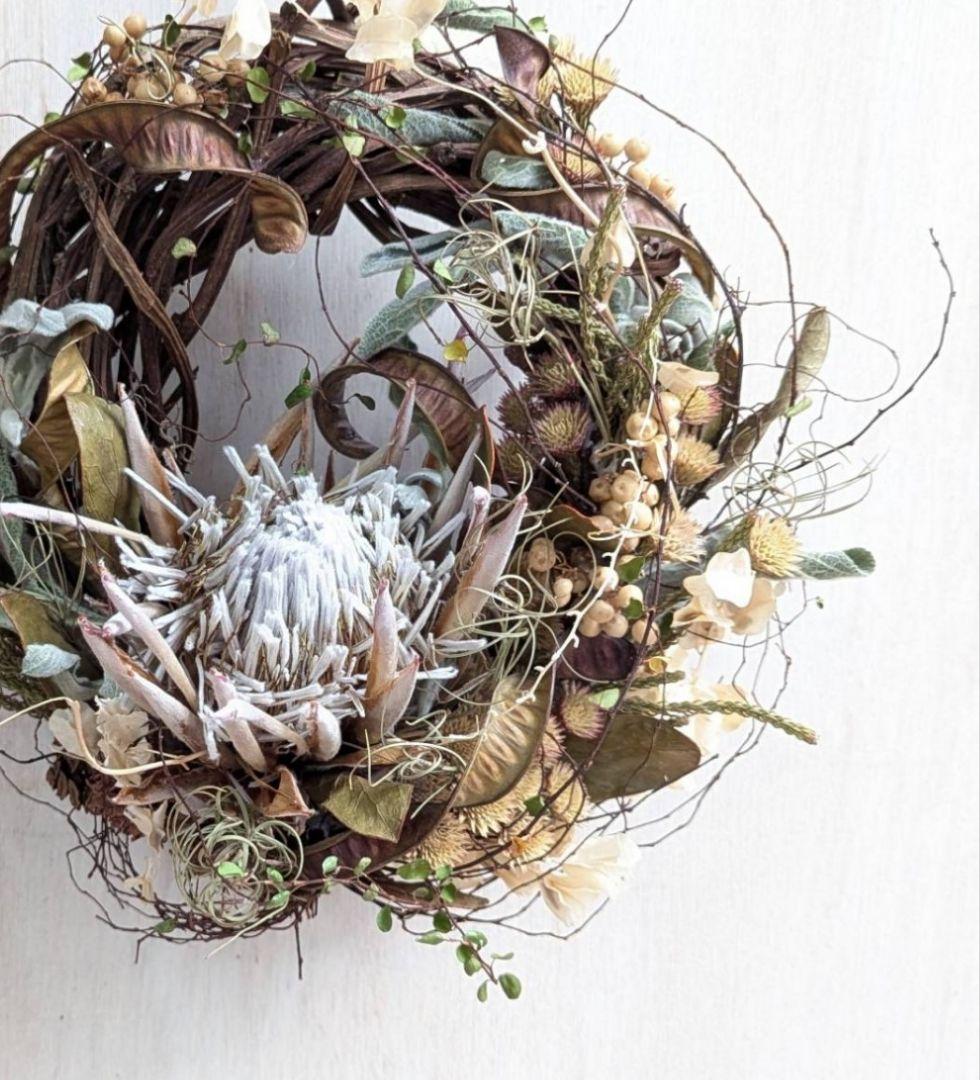 専用＊迎春2026＊キングプロテア　アンティーク　水引き鶴付きリース(ドライ)
