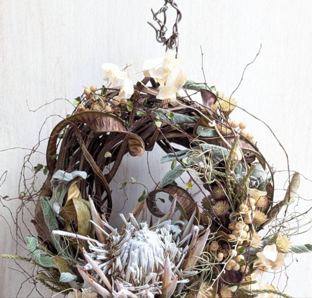 専用＊迎春2026＊キングプロテア　アンティーク　水引き鶴付きリース(ドライ)