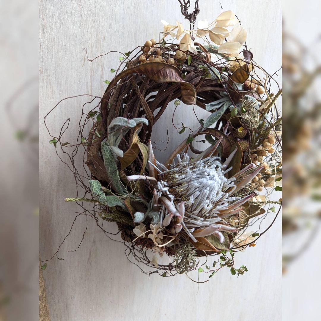 専用＊迎春2026＊キングプロテア　アンティーク　水引き鶴付きリース(ドライ)