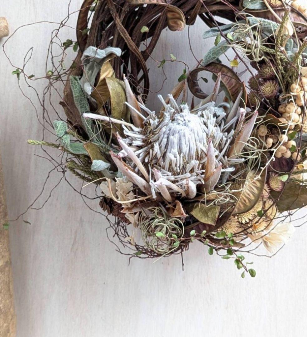 専用＊迎春2026＊キングプロテア　アンティーク　水引き鶴付きリース(ドライ)