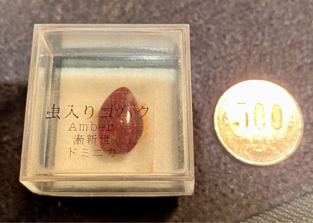 ジェラシックパークの初期作品を思い出す！虫入り琥珀！蚊のような昆虫が入っています