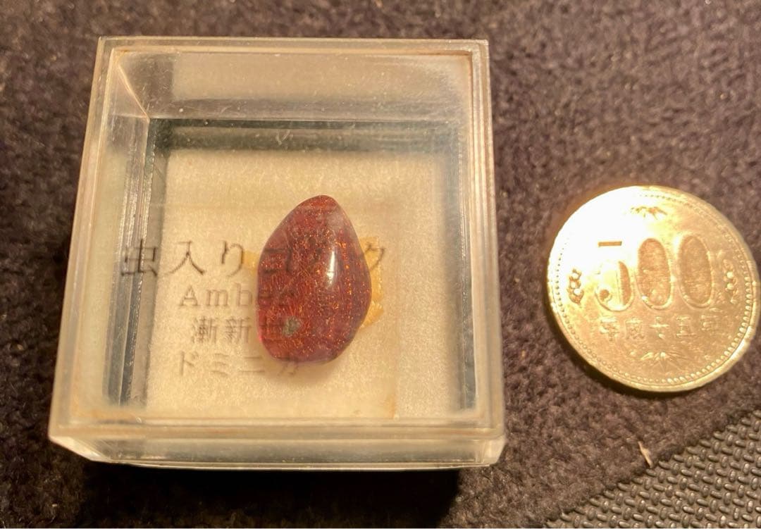 ジェラシックパークの初期作品を思い出す！虫入り琥珀！蚊のような昆虫が入っています