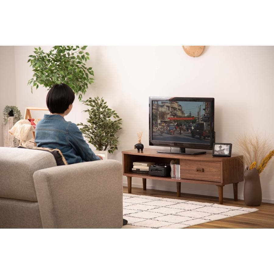 東谷 トムテ TVボードS TAC-244WAL 1488