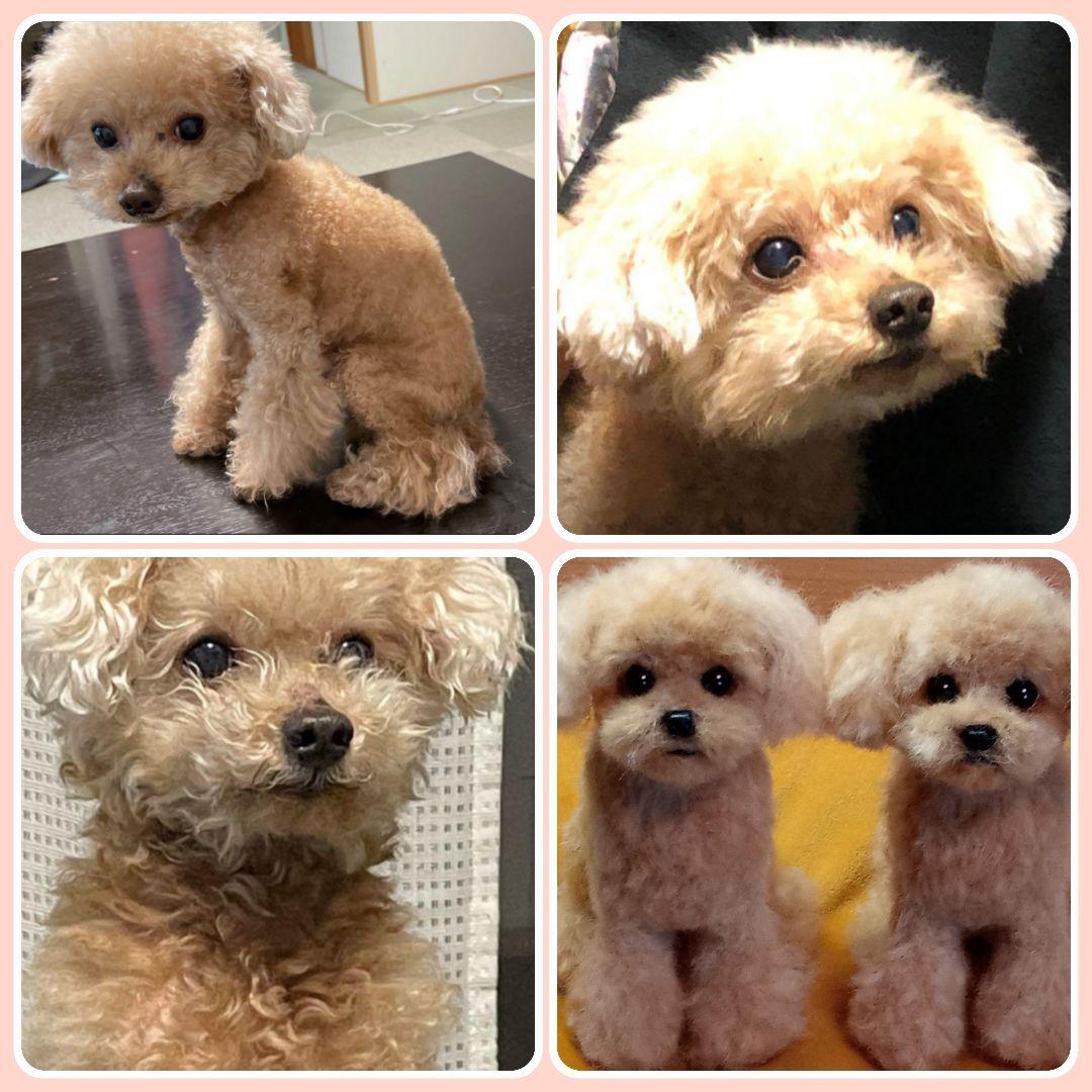 愛犬の羊毛フェルトオーダー制作・わんちゃん
