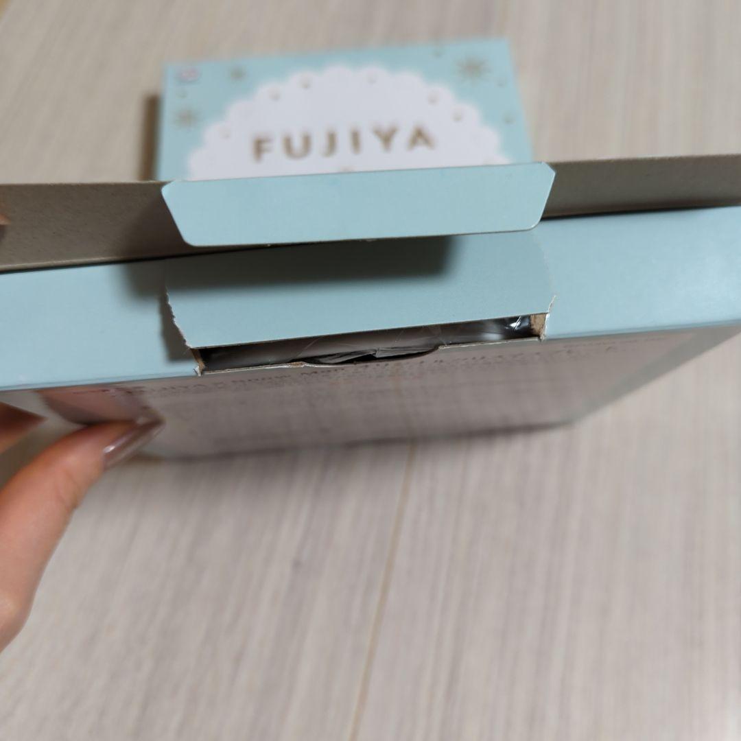 FUJIYA x  Man オリジナルクリスマスプレート 2枚セット