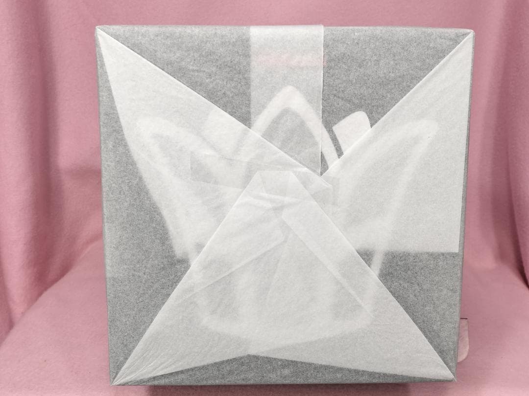 【未開封 美品】黒鳥の女の子 Anmi氏が描いたイラストがフィギュア化！