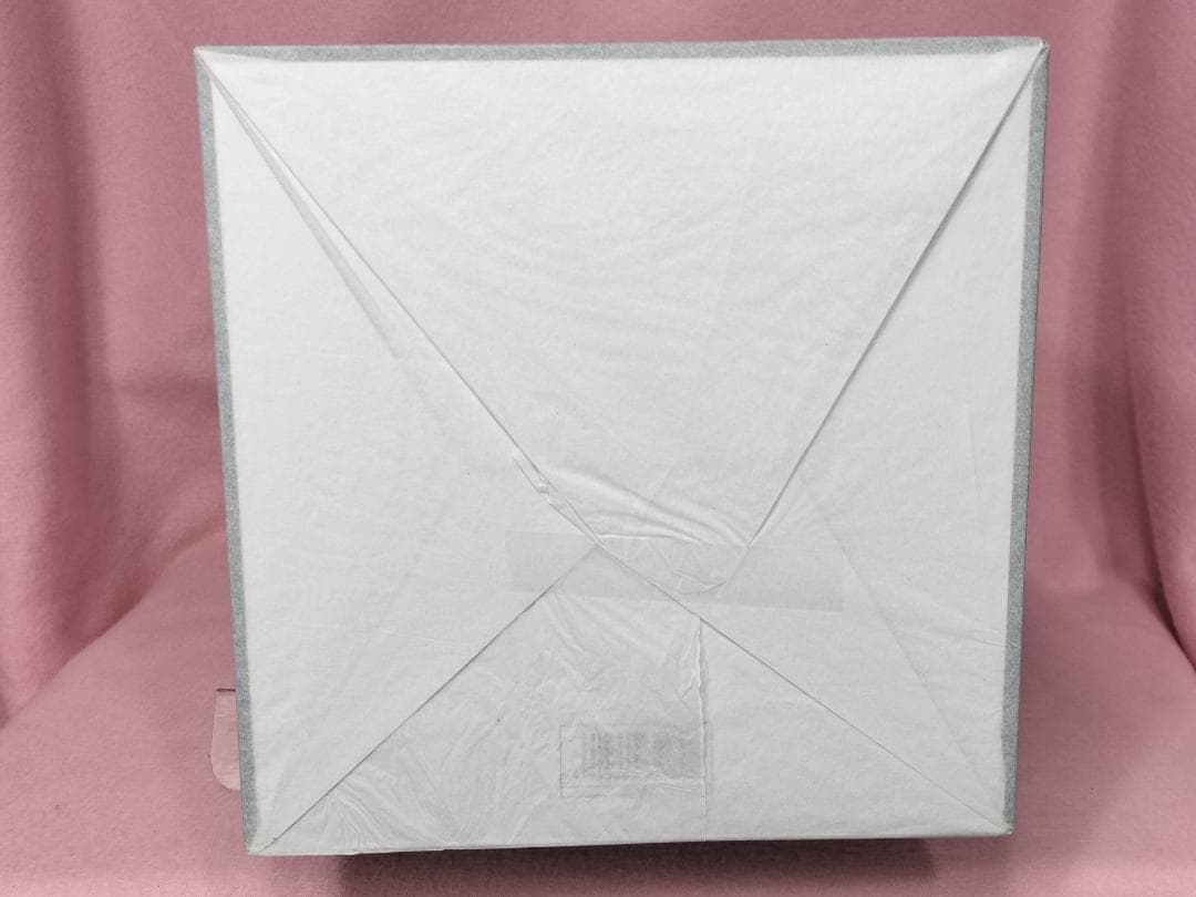 【未開封 美品】黒鳥の女の子 Anmi氏が描いたイラストがフィギュア化！