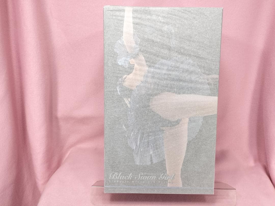 【未開封 美品】黒鳥の女の子 Anmi氏が描いたイラストがフィギュア化！