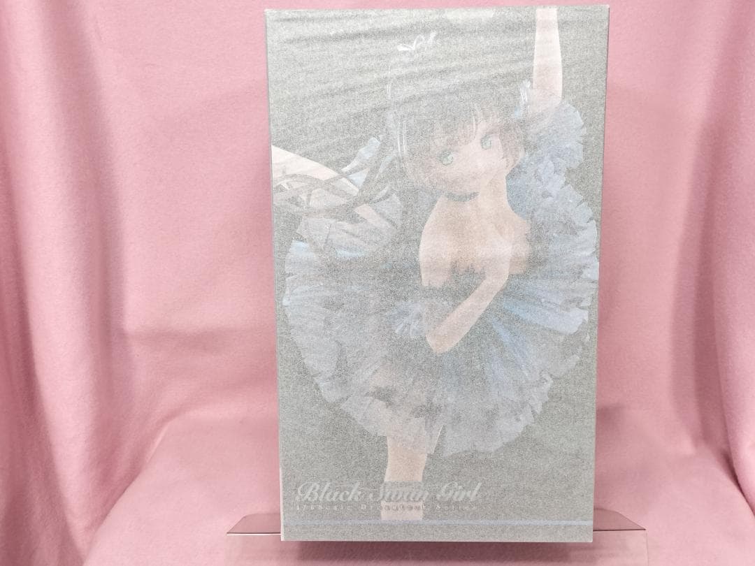 【未開封 美品】黒鳥の女の子 Anmi氏が描いたイラストがフィギュア化！