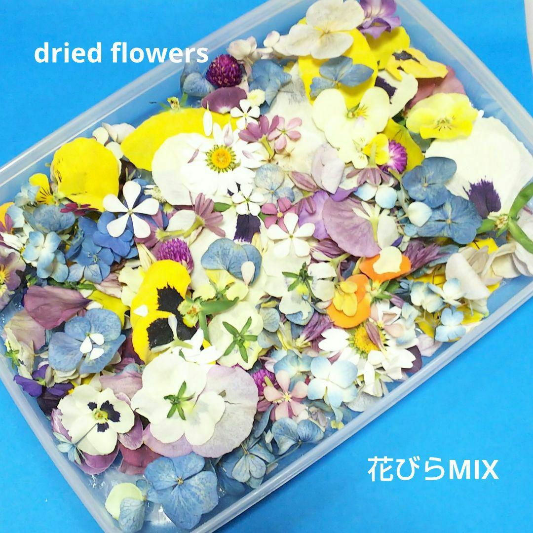 ドライフラワー 花びら 花材MIX 訳あり 大容量 ケース発送 No.1158