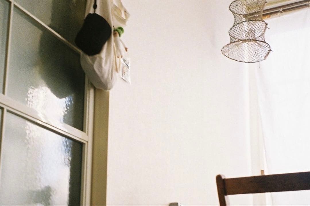 フランスアンティーク　1900s ビク シェード　アート魚籠