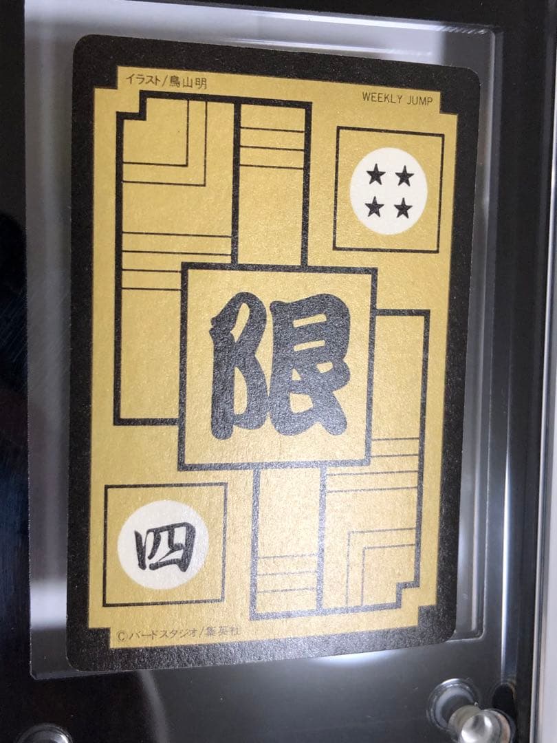 ドラゴンボールカードダス めちゃんこプロジェクト IV 孫悟飯 正規品