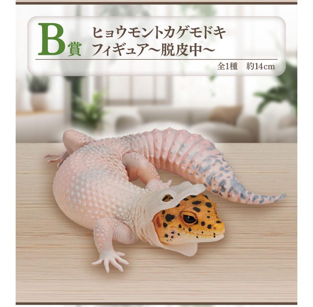 一番くじ ヒョウモントカゲモドキ脱皮中 フィギュア - メルカリ