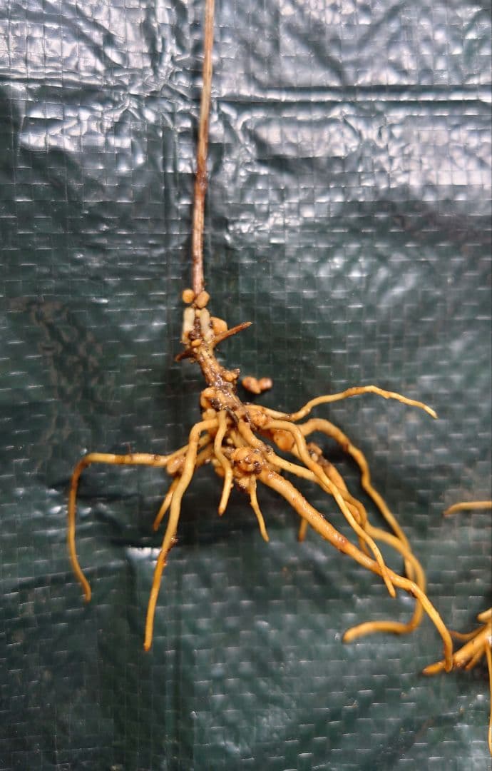 お気軽にお問い合わせください(*^^*)