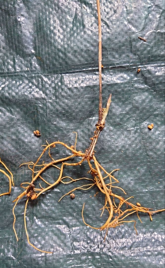 お気軽にお問い合わせください(*^^*)