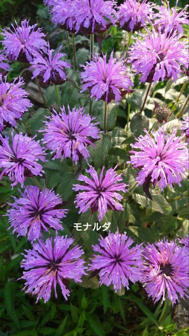 お気軽にお問い合わせください(*^^*)