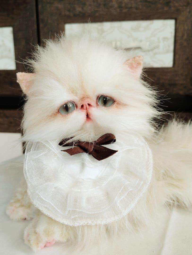 Milky様御予約❤️生後3ヶ月♡綺麗なお顔の♡子猫ちゃん♡アートドール♡