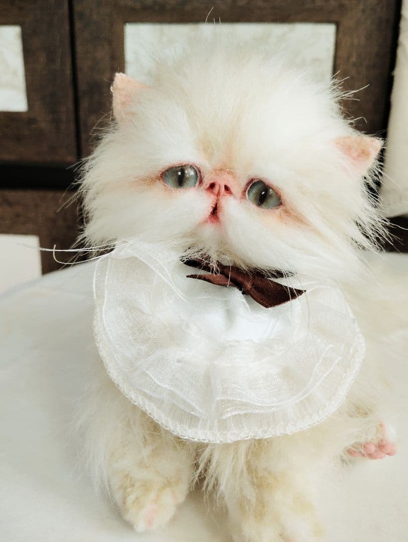 Milky様御予約❤️生後3ヶ月♡綺麗なお顔の♡子猫ちゃん♡アートドール♡