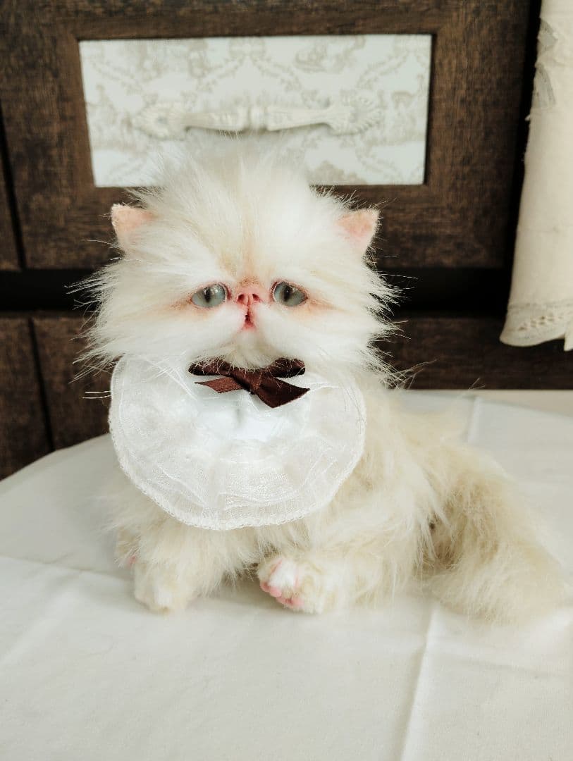 Milky様御予約❤️生後3ヶ月♡綺麗なお顔の♡子猫ちゃん♡アートドール♡