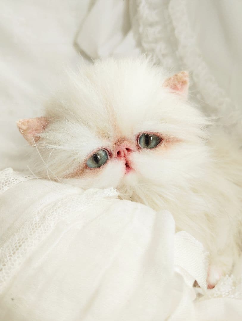 Milky様御予約❤️生後3ヶ月♡綺麗なお顔の♡子猫ちゃん♡アートドール♡