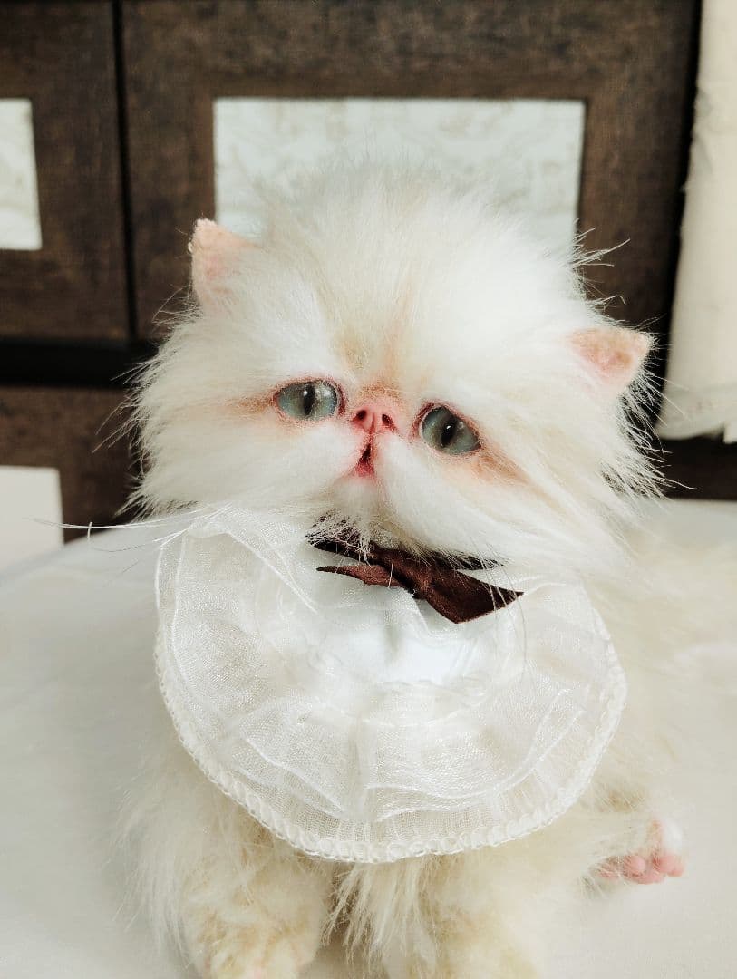 Milky様御予約❤️生後3ヶ月♡綺麗なお顔の♡子猫ちゃん♡アートドール♡