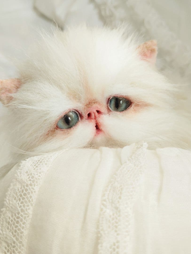 Milky様御予約❤️生後3ヶ月♡綺麗なお顔の♡子猫ちゃん♡アートドール♡