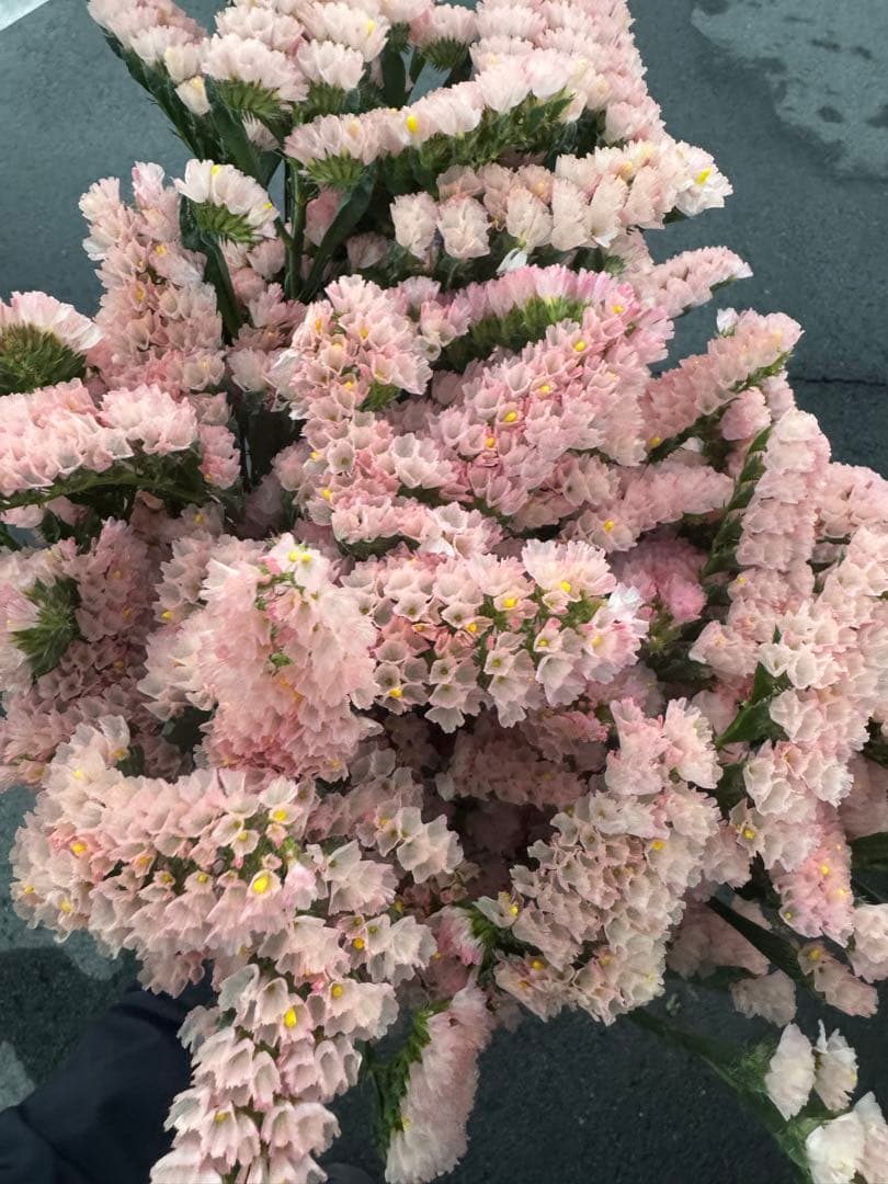 aya様 リクエスト 3点 まとめ商品