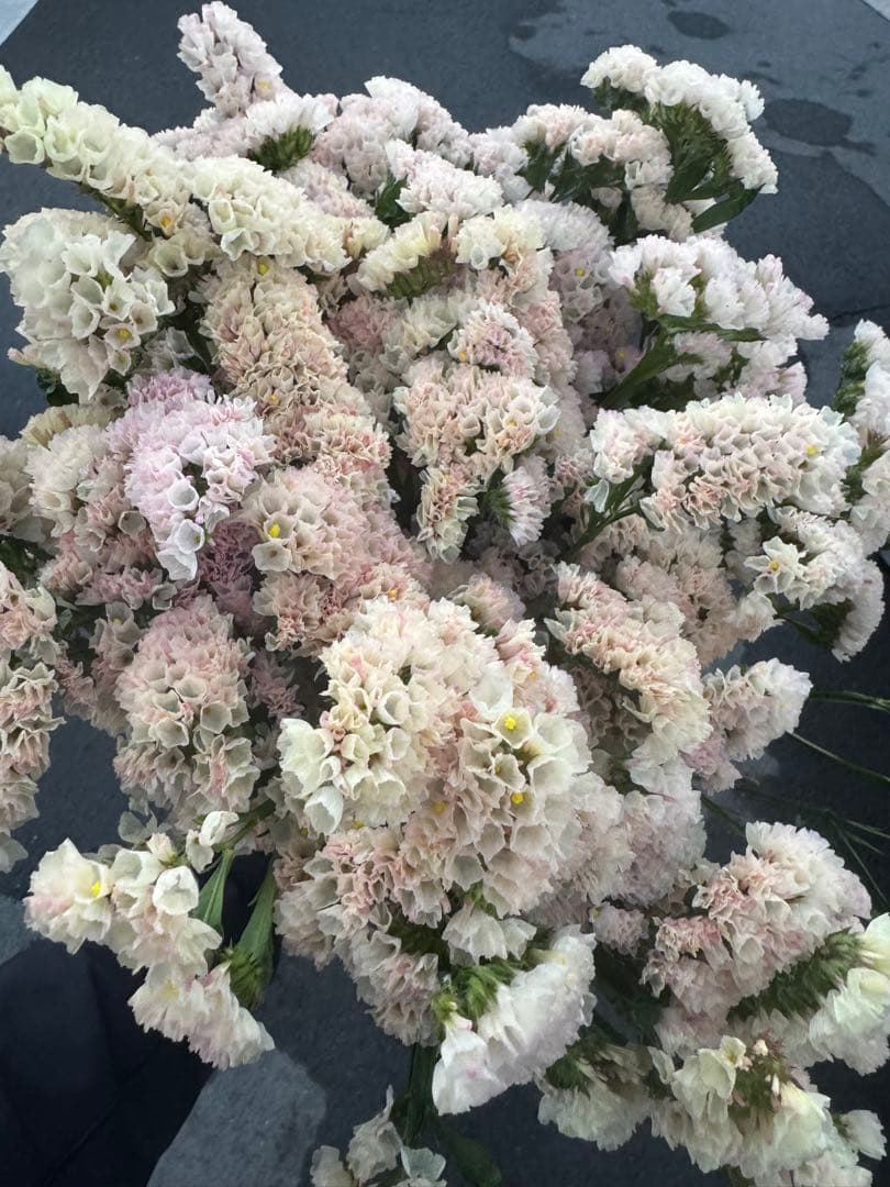 aya様 リクエスト 3点 まとめ商品