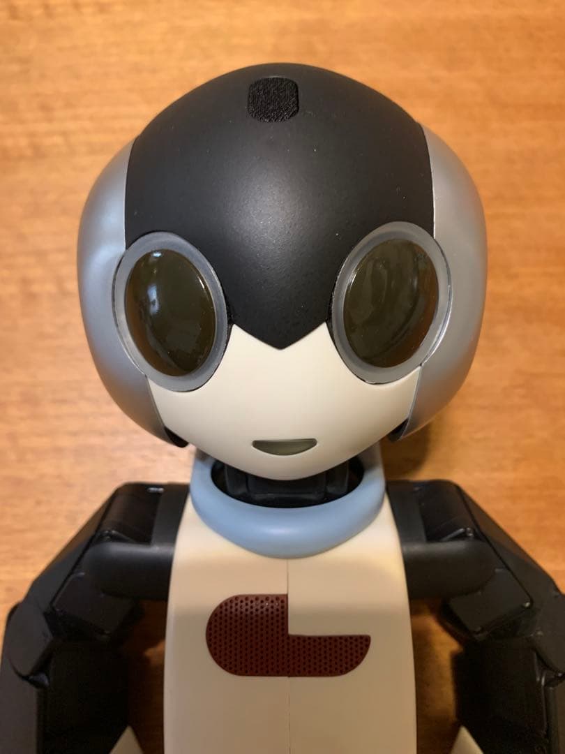 N*C様 色替えRobi ロビ 2DX版 完動品 オーナー愛称登録してお譲りしま