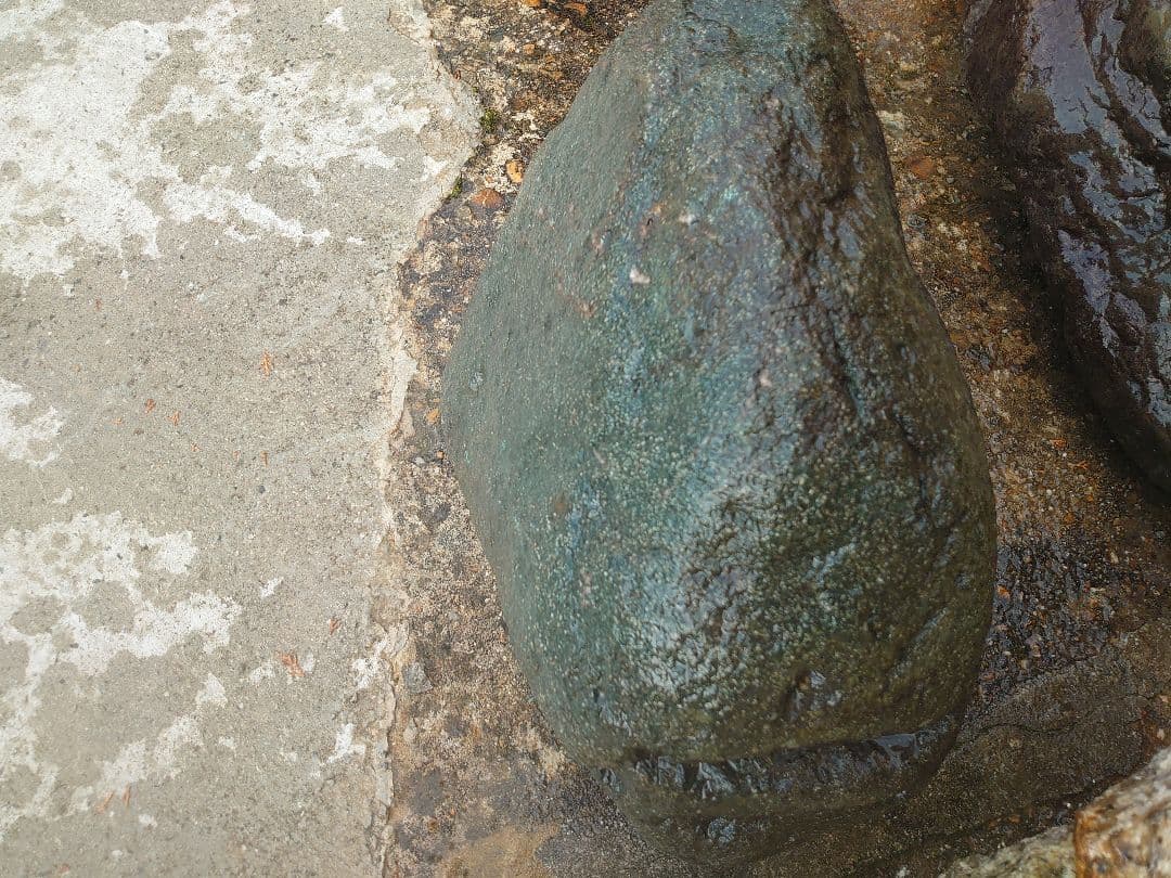 青石 庭石 約120kg 鑑賞石 坪庭 天然石 庭園