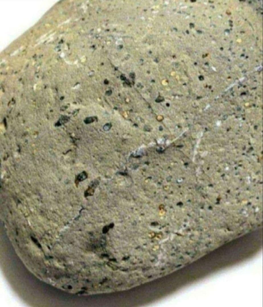 青森県産 今別町産 袰月産 舎利母石 原石 置き石 観賞石 奇石 約2.2kg