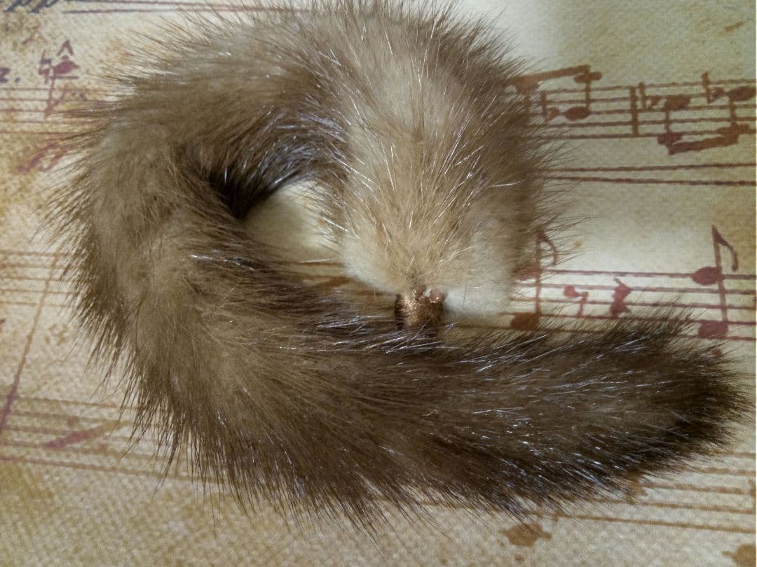 PoppyParkerポピーパーカーBarbieタミーちゃん