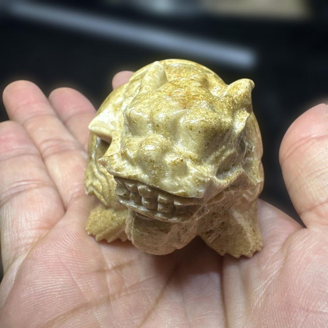 【希少】天然　龍宮舎利　龍亀　ロングイ