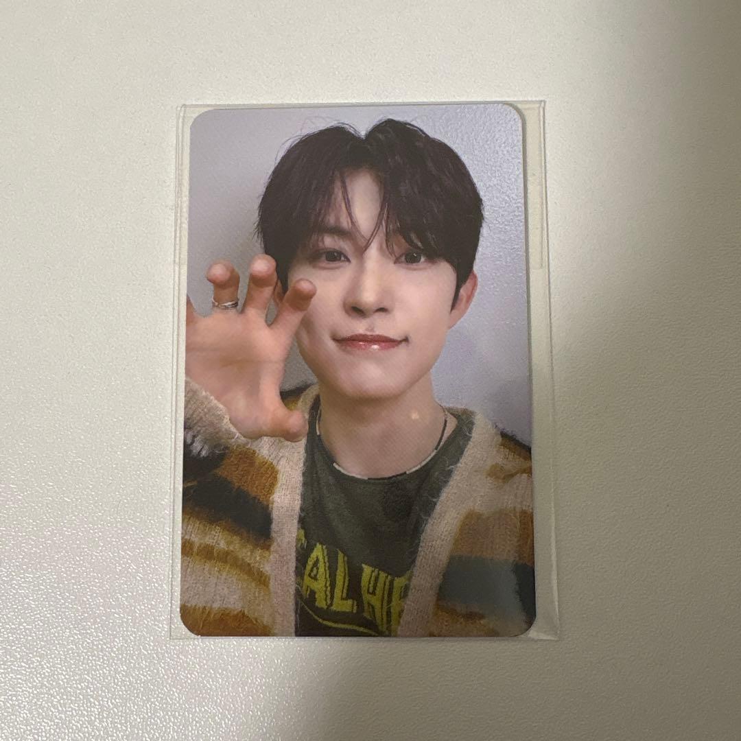 Alphadriveone ald1 ゴヌ ショケ 2部 トレカ - メルカリ