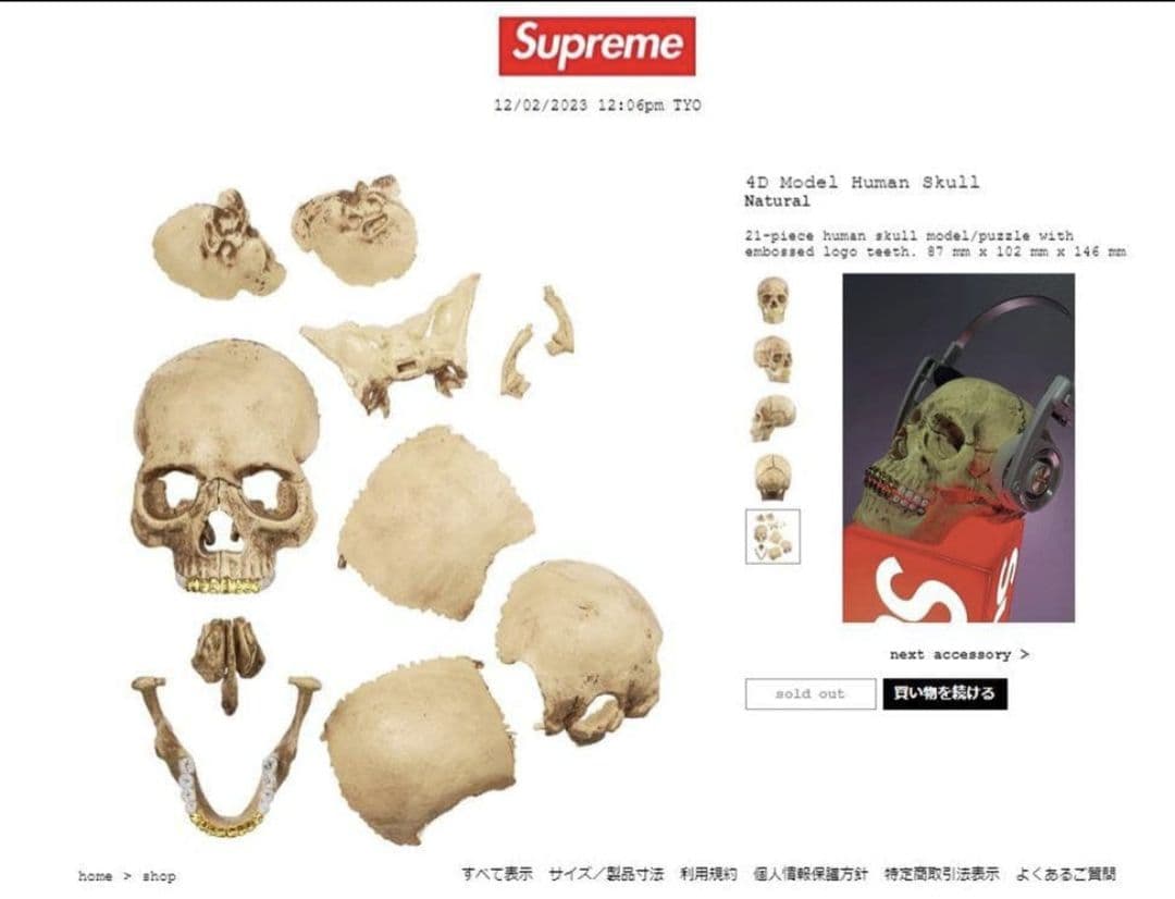 未開封 Supreme 4D Model Human Skull Natural