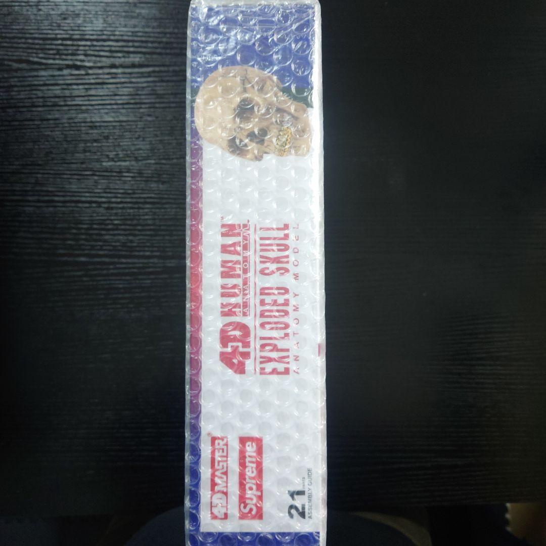 未開封 Supreme 4D Model Human Skull Natural