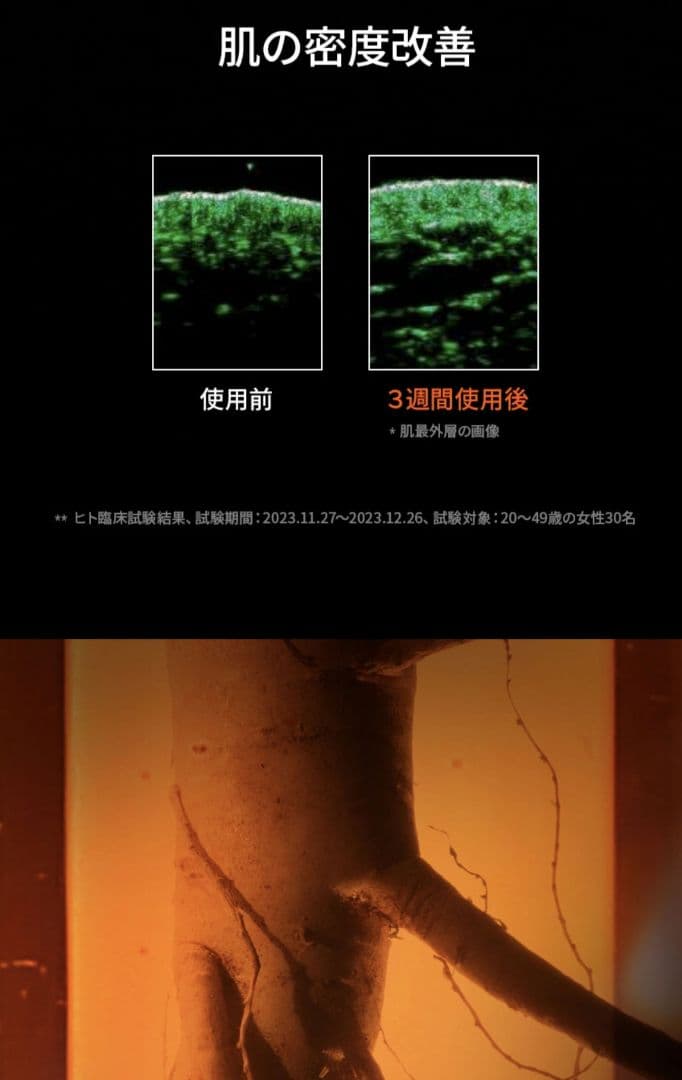 【新品リニューアル品】雪花秀 ソルファス 滋陰生 ジャウムセン アンプル 20g