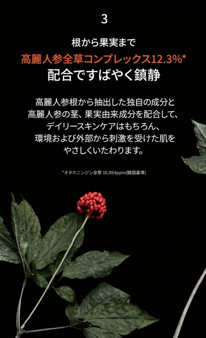 【新品リニューアル品】雪花秀 ソルファス 滋陰生 ジャウムセン アンプル 20g