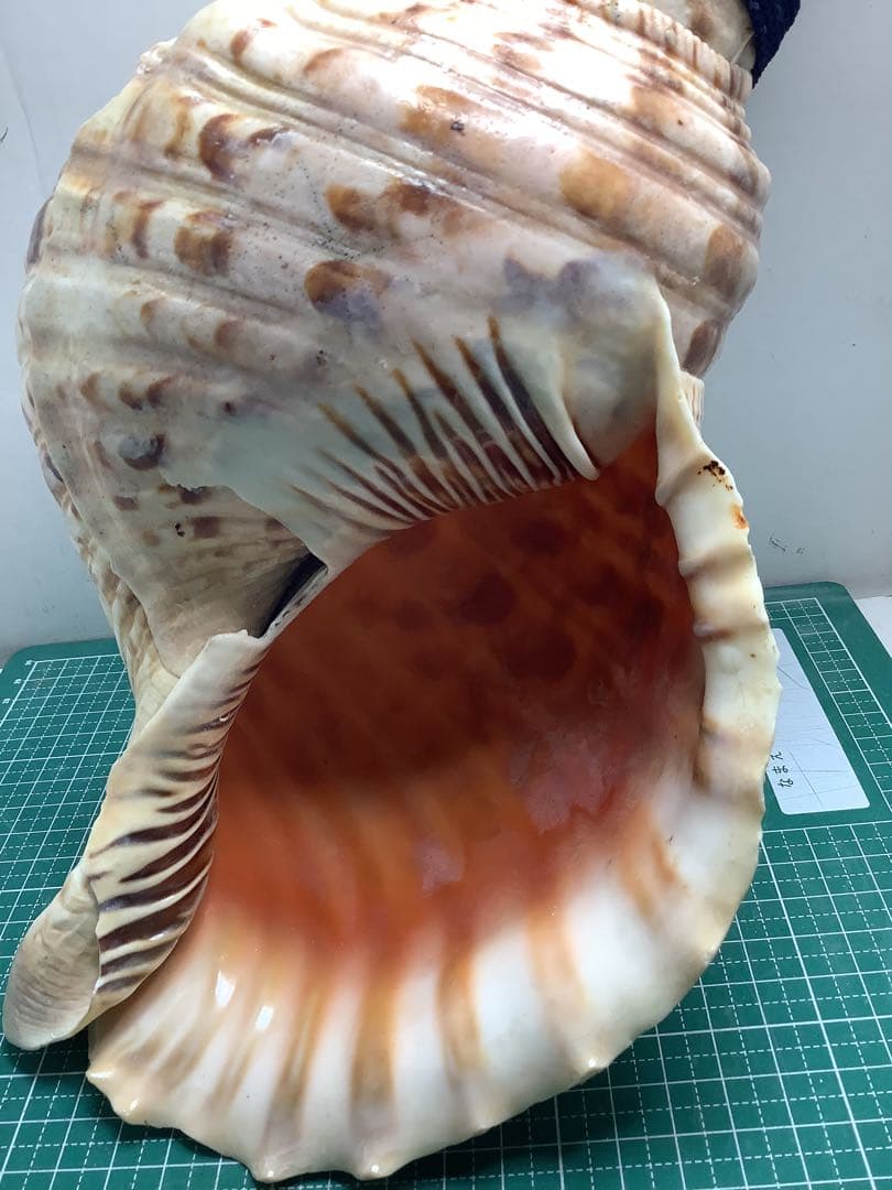 00・法螺貝・山伏・修験者・金峯山・羽黒山・戦国武将・豊臣兄弟