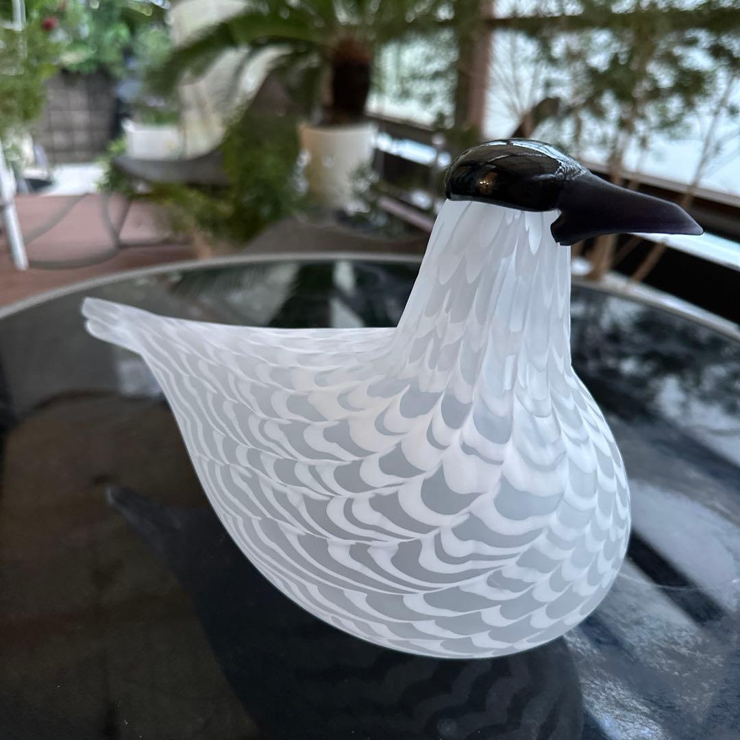 OIVA TOIKKA Bird Species of Tern 02美品