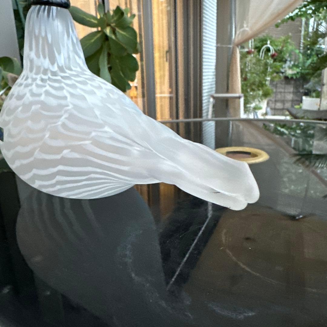 OIVA TOIKKA Bird Species of Tern 02美品