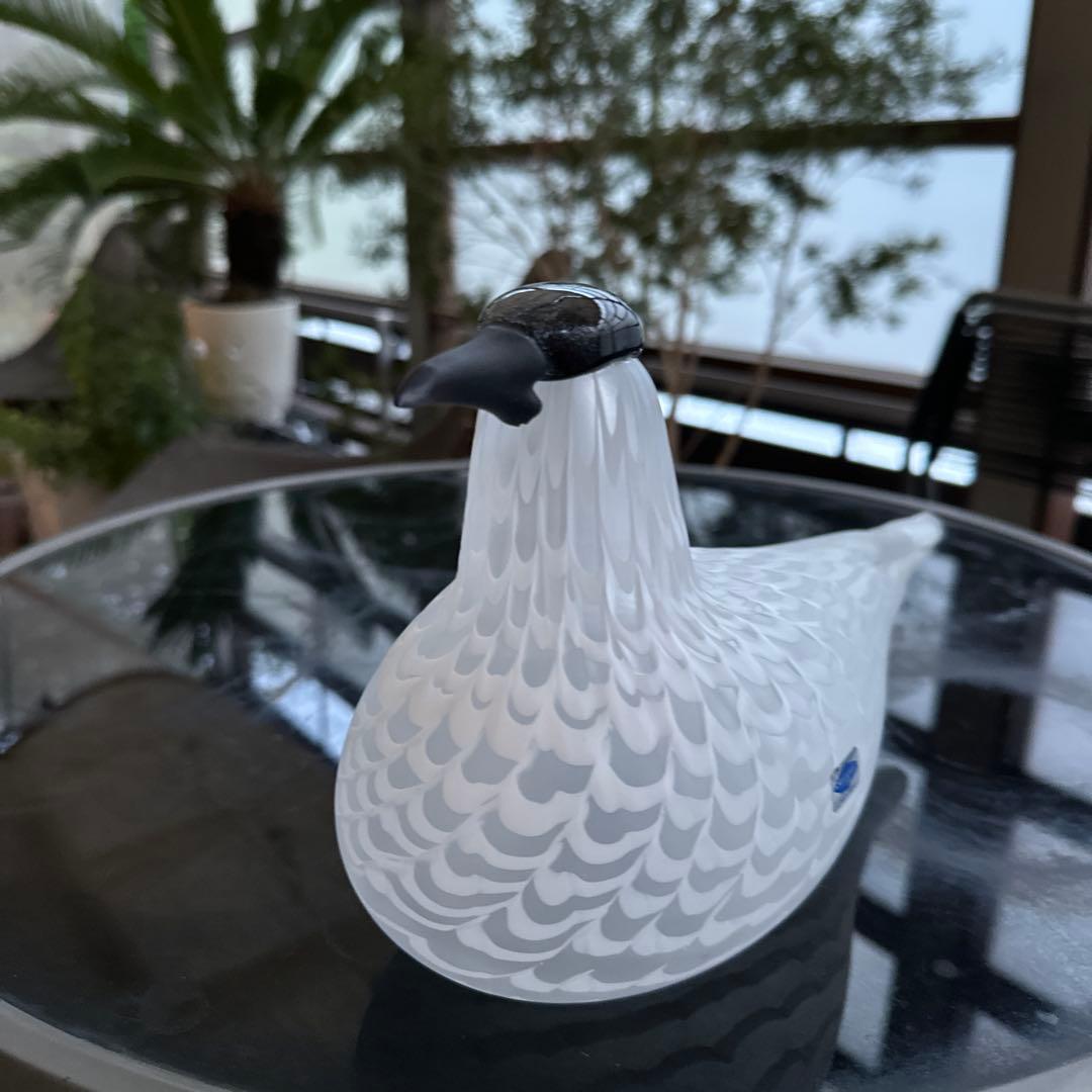 OIVA TOIKKA Bird Species of Tern 02美品