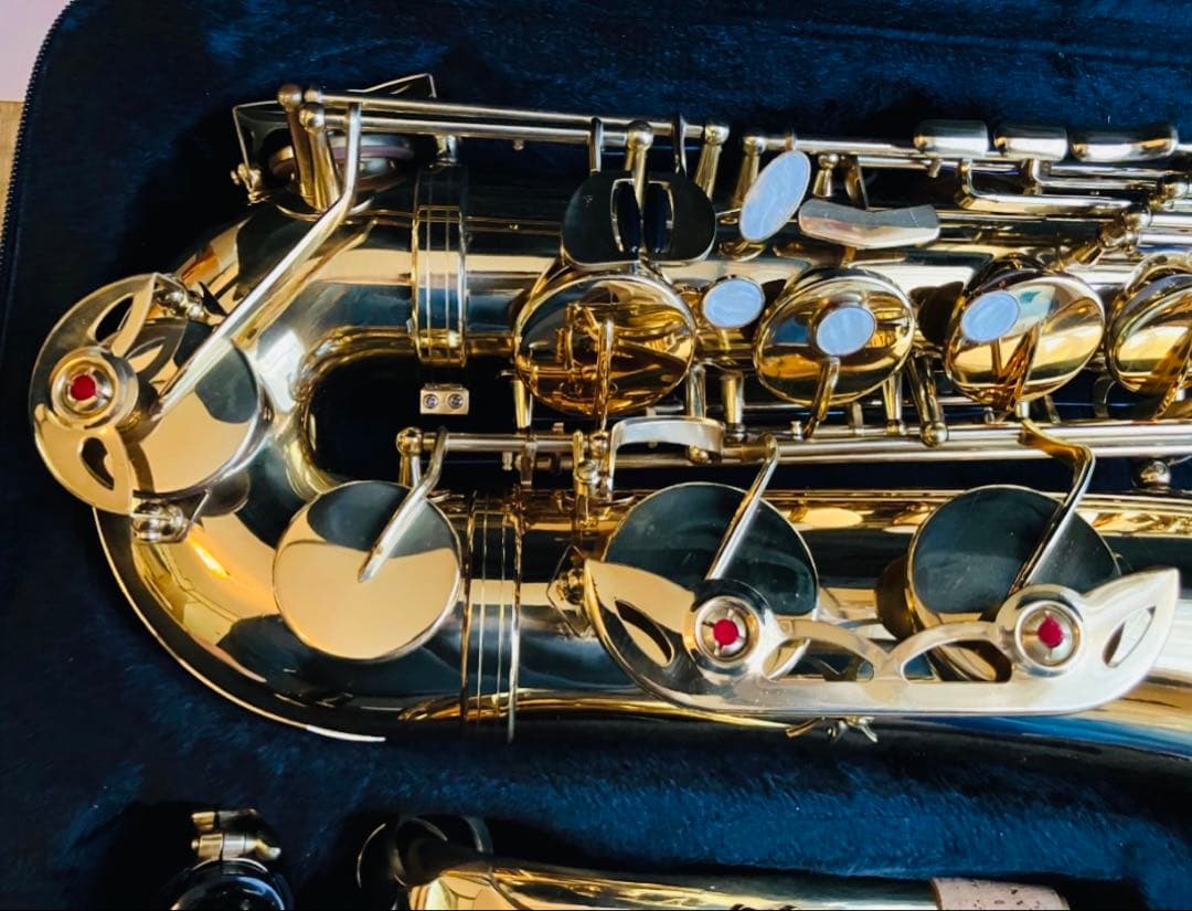 Selva テナー サックス 美品 付属品多数 セット 未使用級 Selva セット